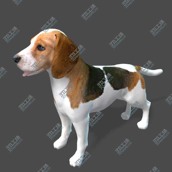images/goods_img/2021040232/Real-Time Dog Beagle/2.jpg